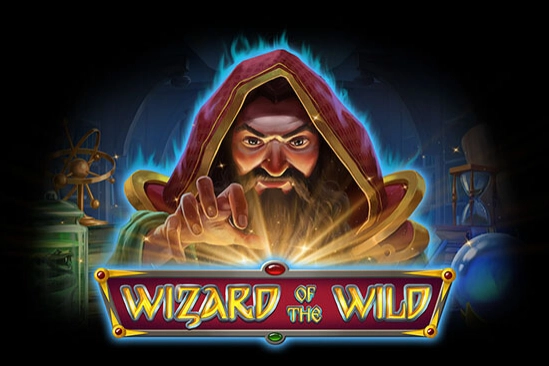 16324 wizard of the wild