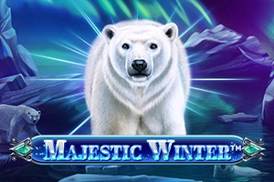 22503 majestic winter